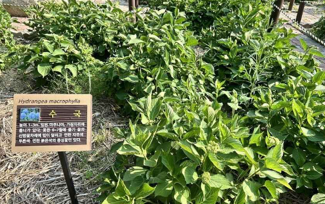 강원도 가볼만한곳 베스트10