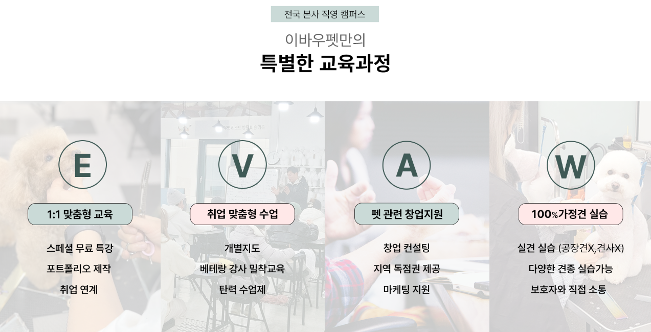 애견미용자격증