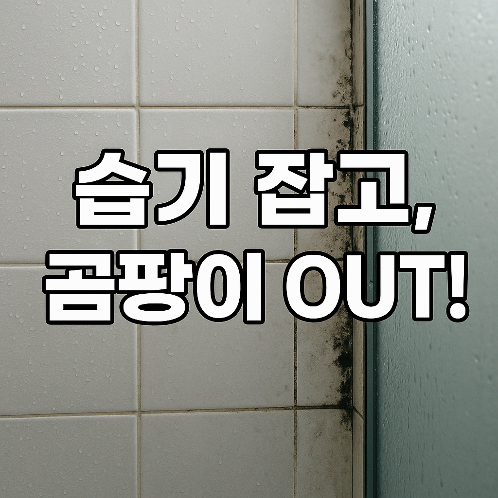 샤워 후 욕실 곰팡이 안 생기게 하는 법! 습기 잡는 현실 꿀팁 총정리