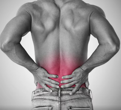 허리디스크 진단