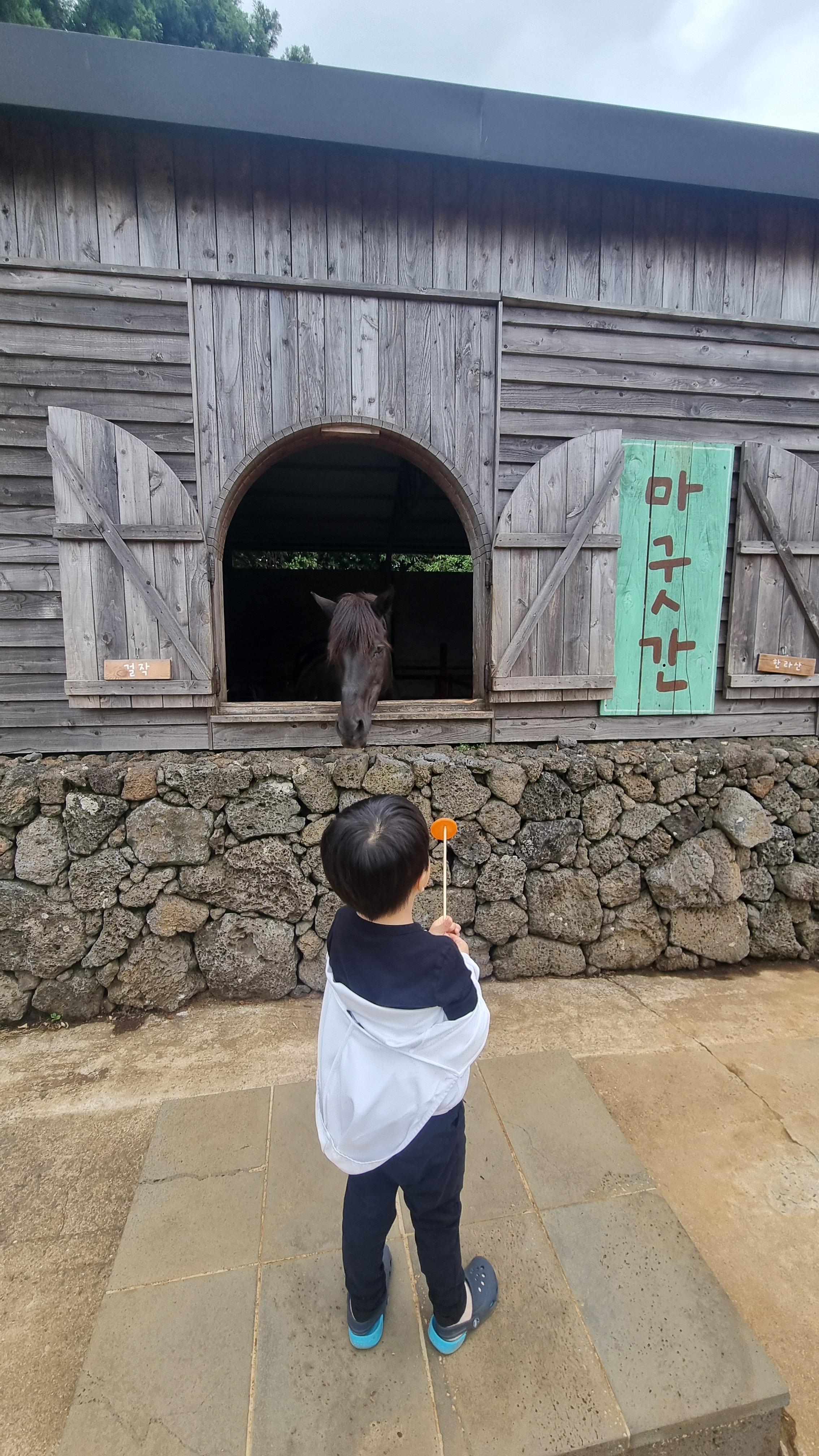 제주 목장카페 밭디