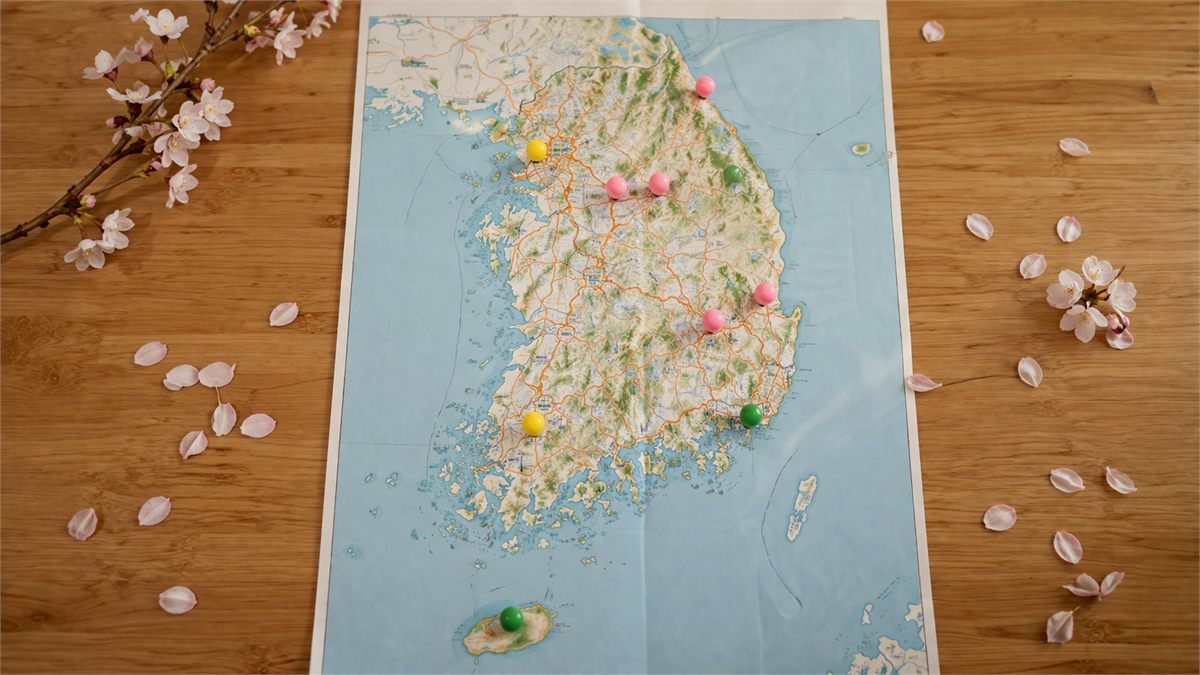 봄 축제 여행지를 지도 위에 표시하며 일정을 계획하는 장면