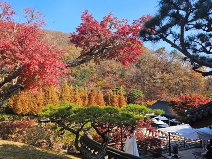 화담숲 사진