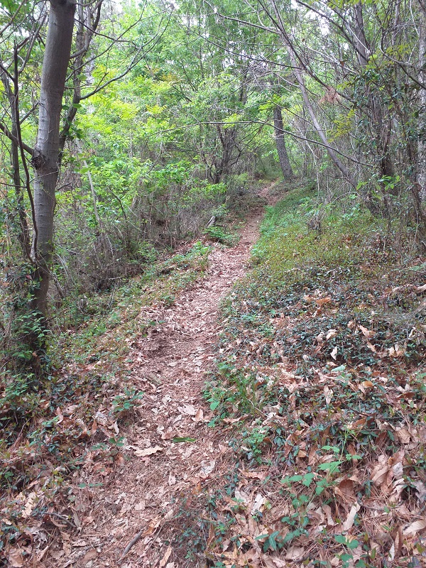 천왕산