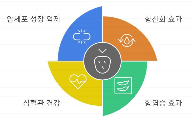 엘라직산 효능