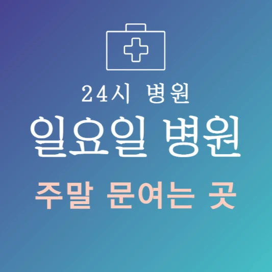 일요일-병원-문여는곳-찾기-주말에-진료하는-24시간-일요일-진료-병원