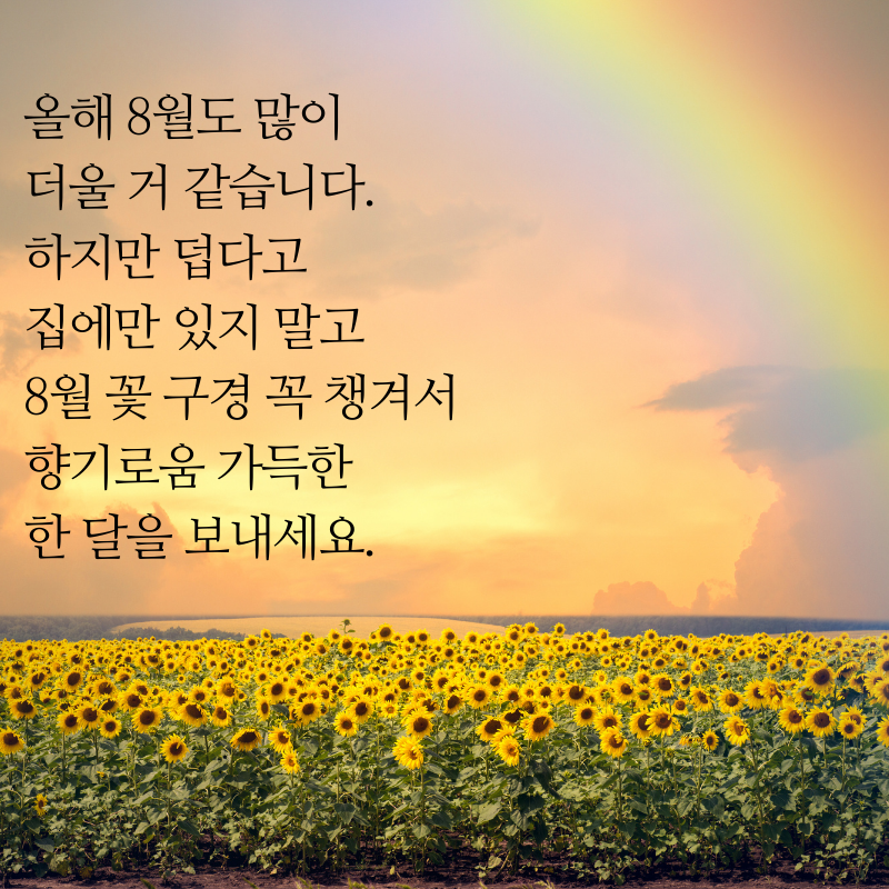 8월 아침 저녁 인사말 문구 이미지 모음