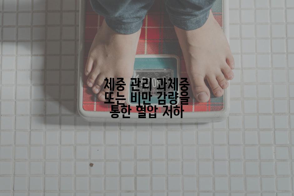 체중 관리 과체중 또는 비만 감량을 통한 혈압 저하