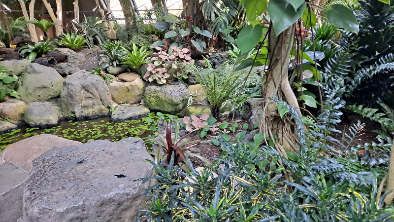 제주여행_여미지식물원