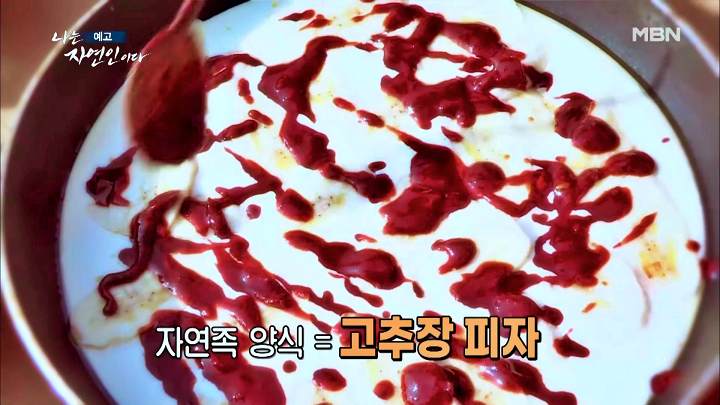 나는 자연인이다 티베트 스타일 옥순봉 고추장 피자 해처럼 바람처럼 자연인 이가영 소개 및 이승윤 출연 542회 다시보기