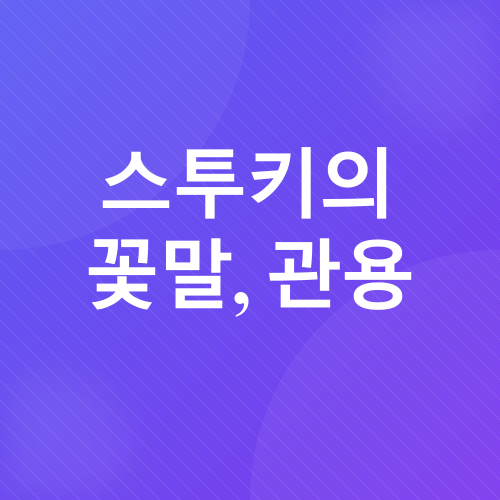 스투키 키우기_6