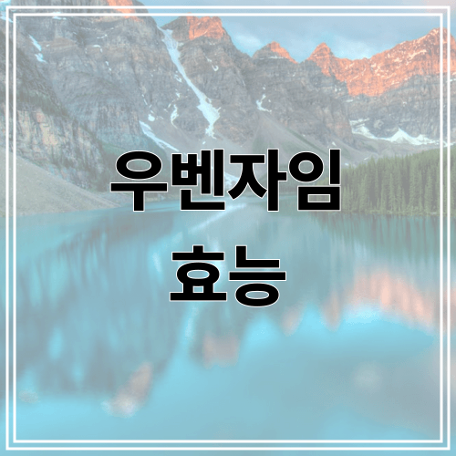 우벤자임 효능