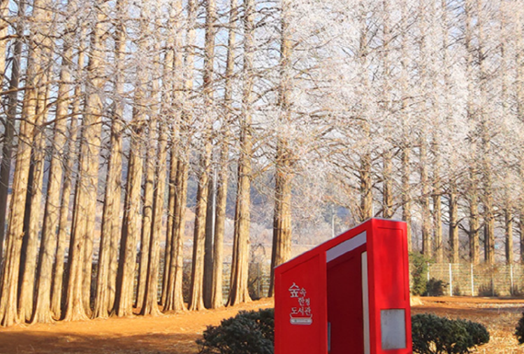 익산 아가페정원