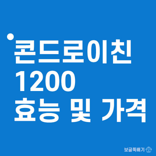 콘드로이친 효능 및 가격