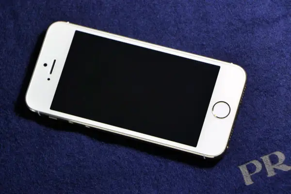 단통법 폐지, 선택 약정, 공시 지원금, 번호 이동, 자급제폰, 할인골든타임