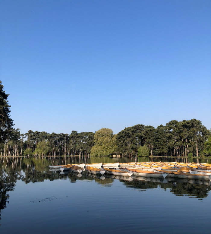 Bois de Boulogne