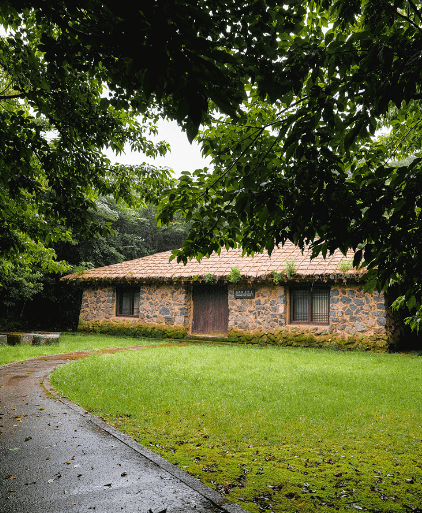 제주 교래자연휴양림