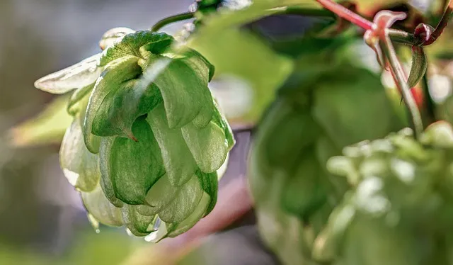 부딪치다 부딪히다 맞춤법 차이 예시_3