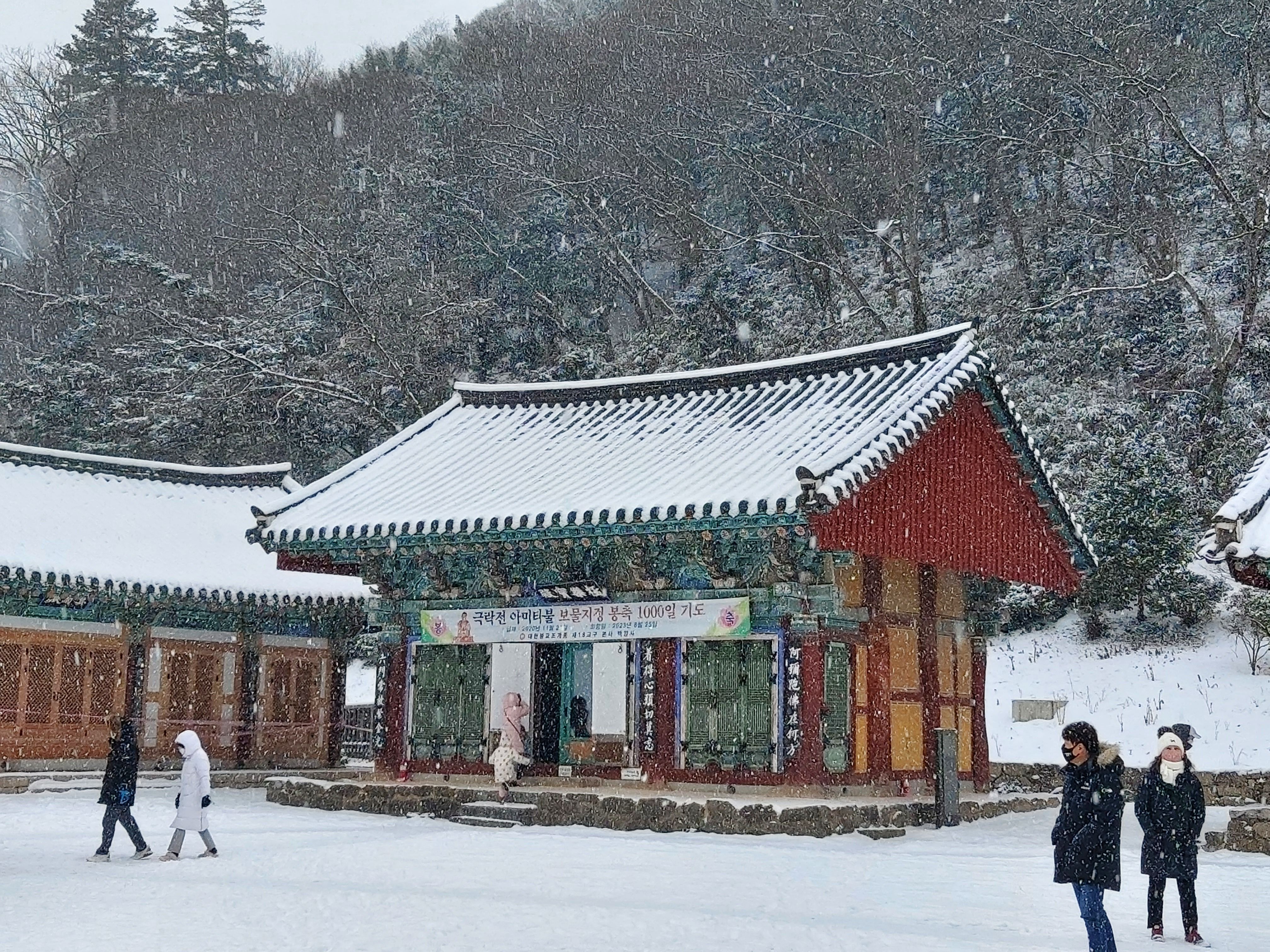 백양사 극락보전