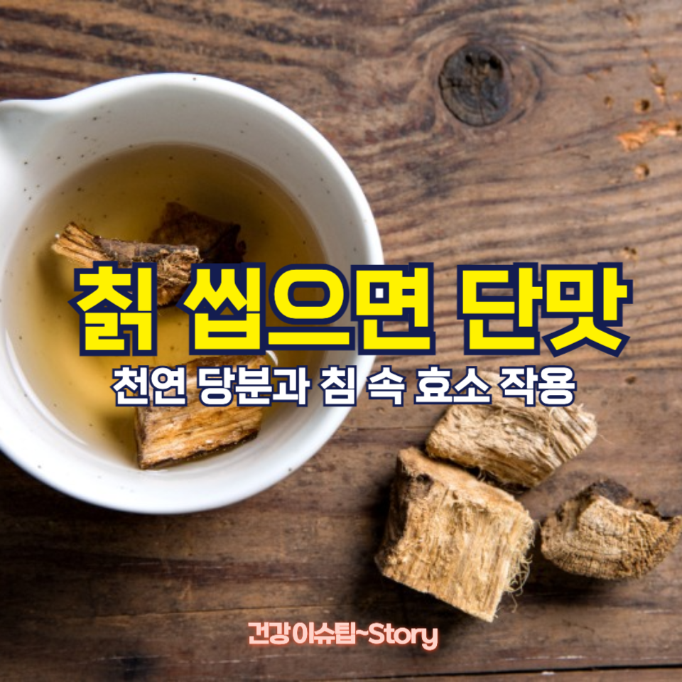 칡 씹으면 단맛