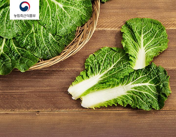 롯데마트 3월 휴무일 및 할인행사 총정리