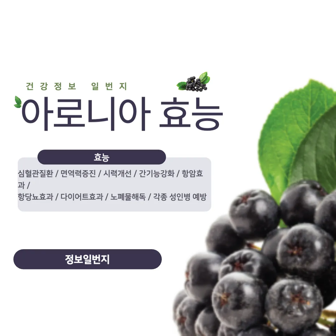 아로니아-효능-심혈관질환-면역력-후기-다이어트-노폐물해독
