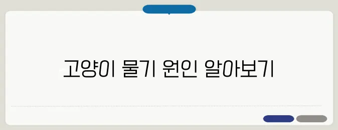 고양이가 무는 이유와 행동 교정법