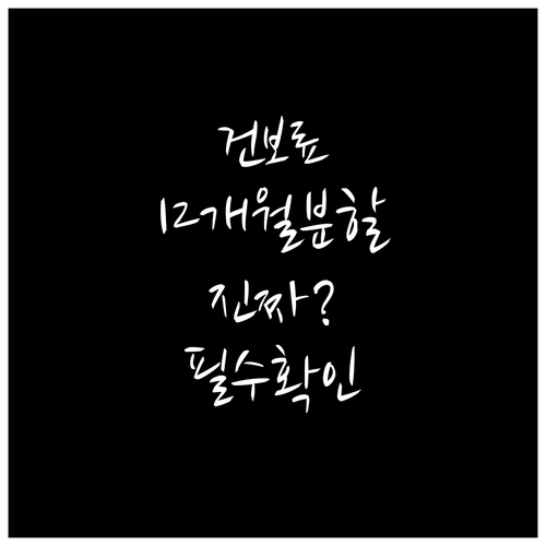 건강보험료 추가납부 최대 12개월 분..