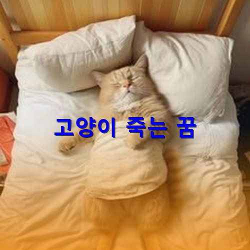 갈색-고양이가-침대에-누워-배에-수건을-덮고-곤히-자고있는-모습