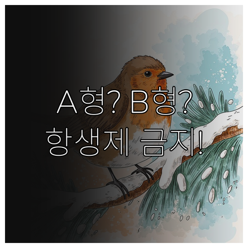 B형 독감과 A형 독감 차이점 및 항..