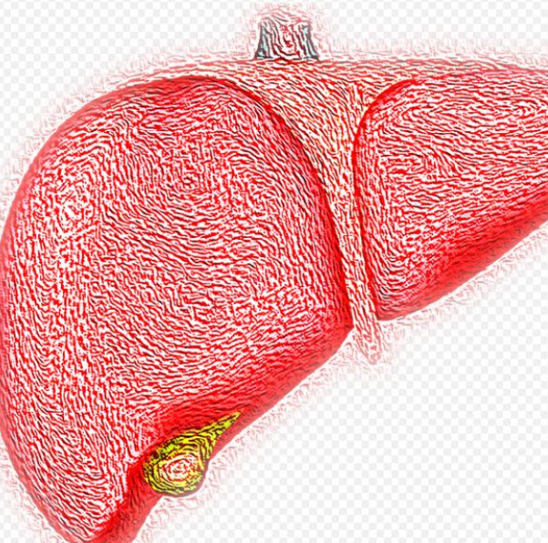 지방간 없애는 방법 20