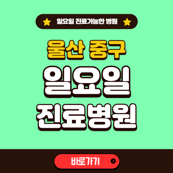 울산 중구 일요일 진료 가능한 병원 ❘ 주말 문여는 곳 총정리 (소아과, 내과, 안과, 치과, 피부과, 정형외과, 산부인과)