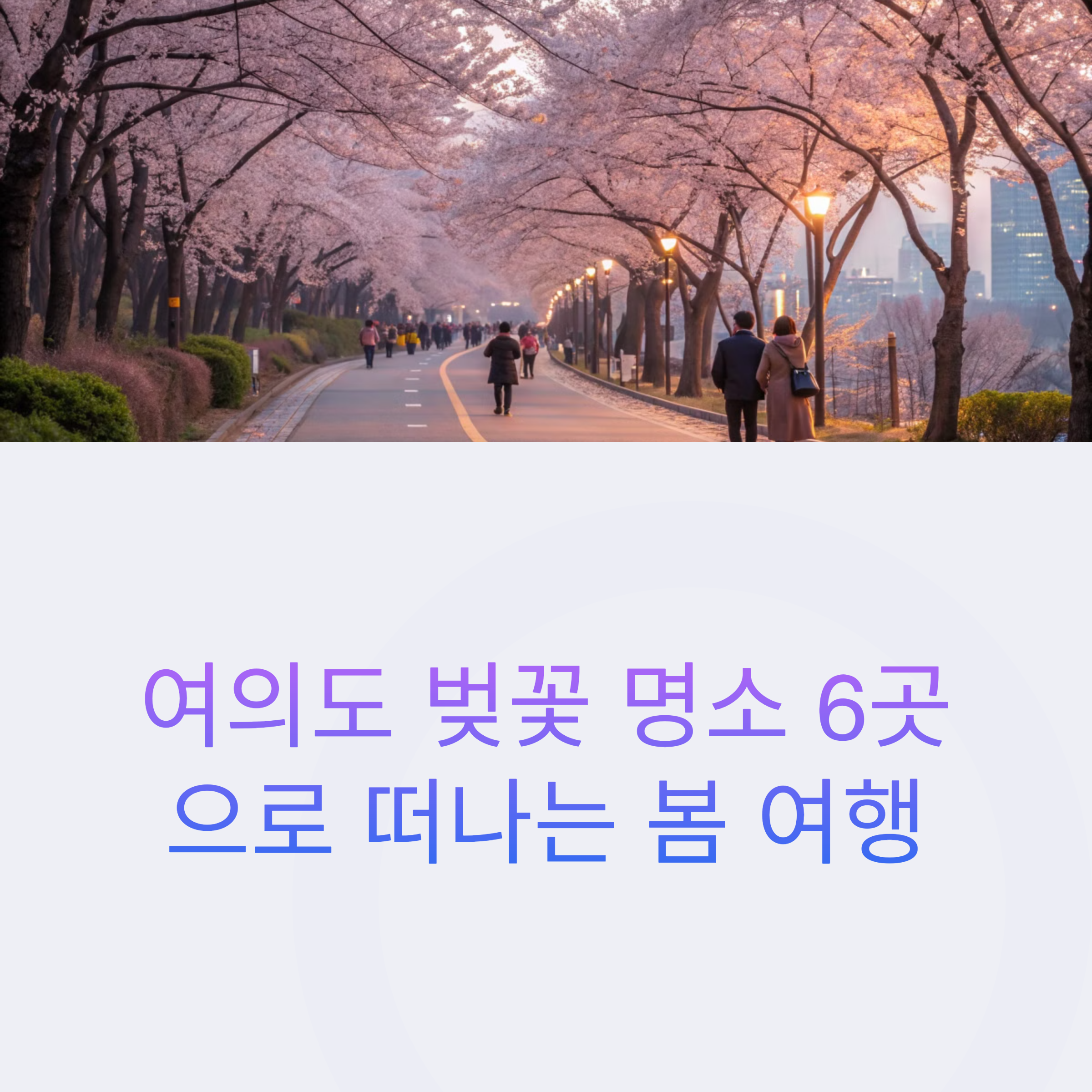 벚꽃길 따라 걷다보면 만나는 여의도의 봄 감성 명소들 썸네일 이미지