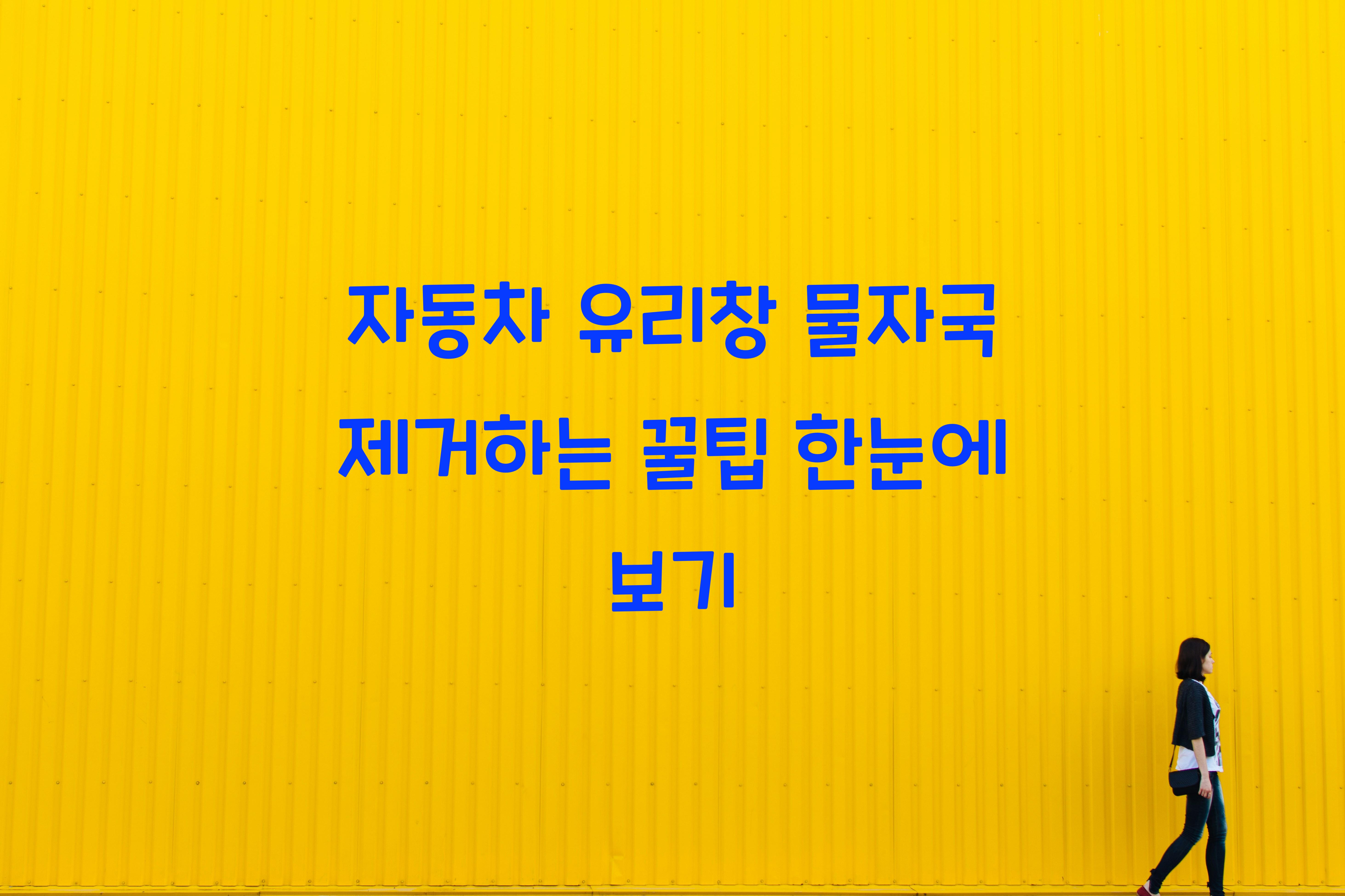 자동차 유리창 물자국 제거하는 꿀팁