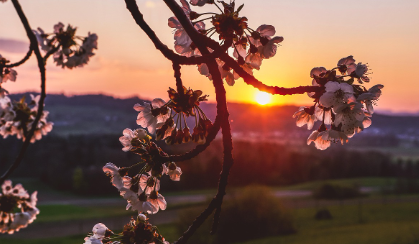 화담숲-예약하기