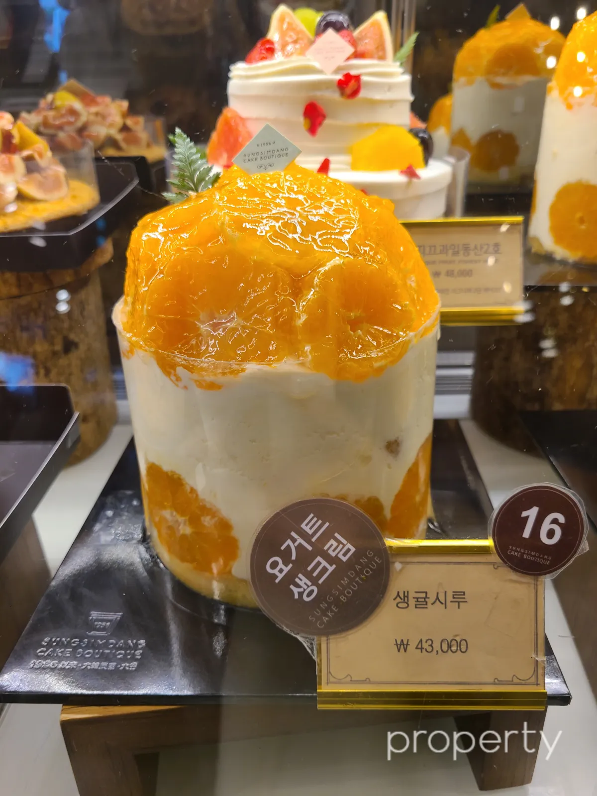 생귤시루-반으로자른귤이잔뜩올라간-시루중간에노란빛이도는요거트생크림이들어간-생귤시류가격표43000원