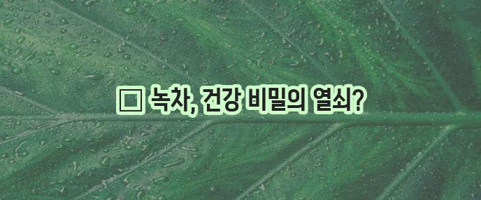 녹차 속 카테킨과 카페인 건강에 좋은 비밀이 숨겨져 있다!