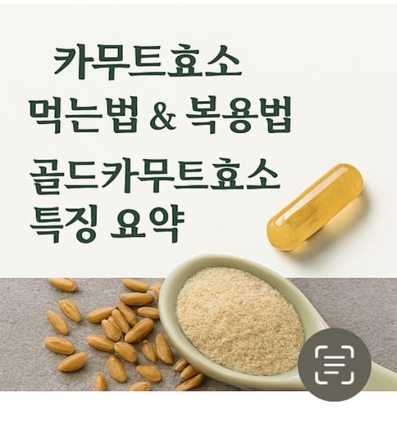 카무트효소 효능 TOP 5 - 먹는법·분말·골드카무트효소까지 총정리