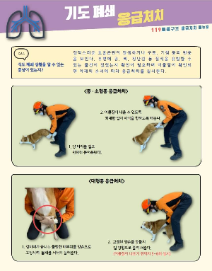 기도 폐쇄 응급처이 메뉴얼