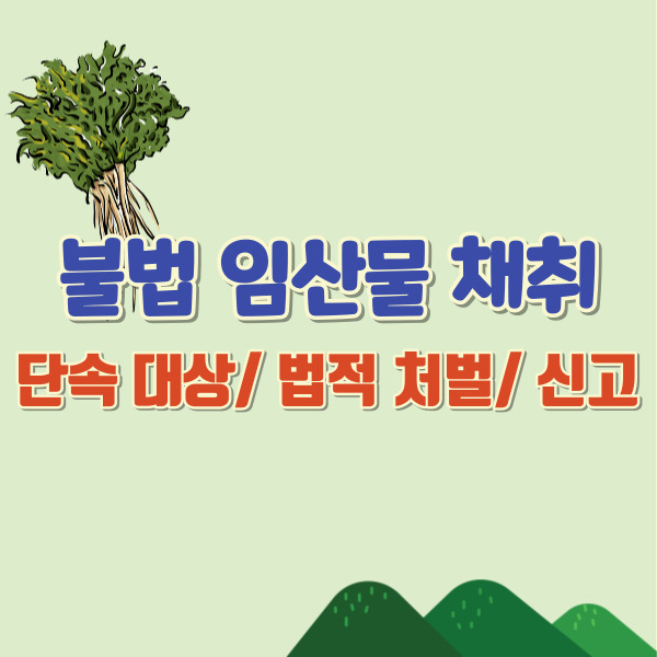 불법 임산물 채취-썸네일