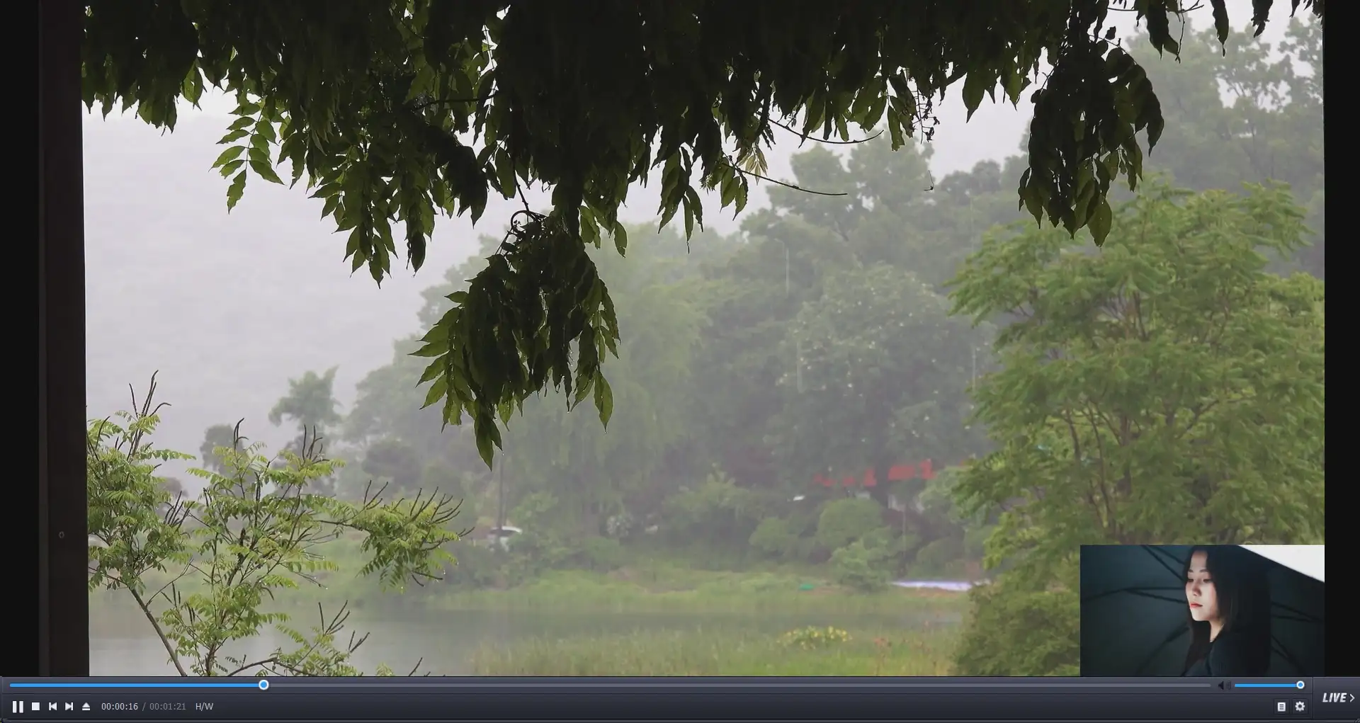 동영상에_사진_집어넣기_20