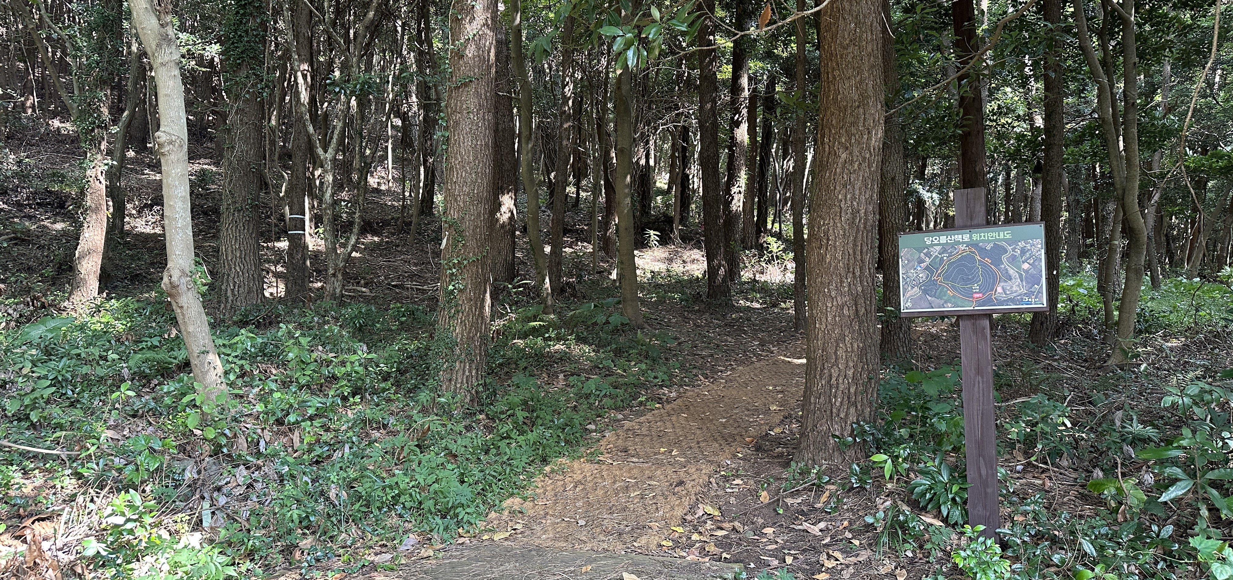 당오름 반대편 입구