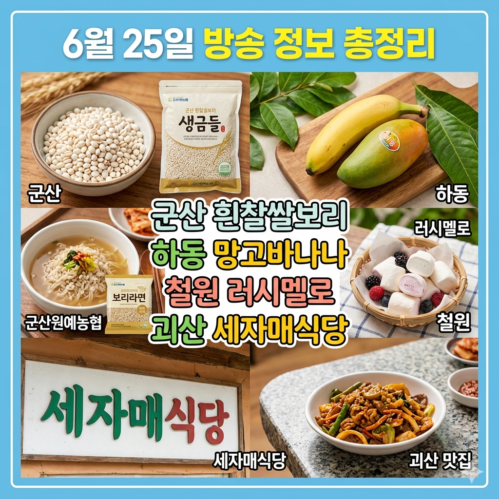 6월 25일 방송 정보