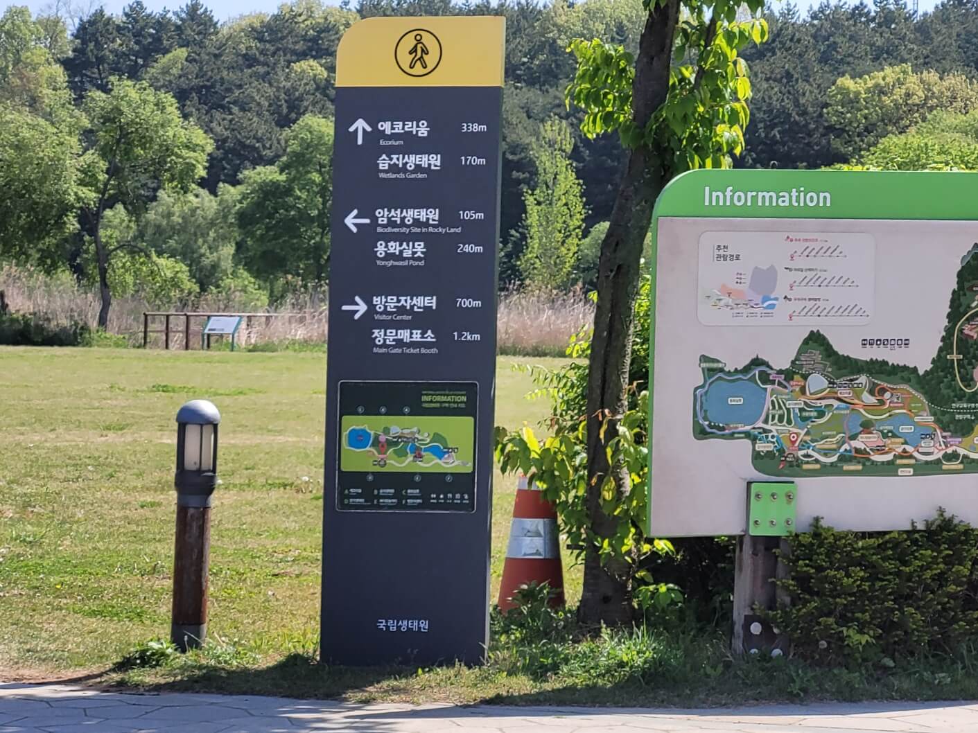 에코리움 가는 길