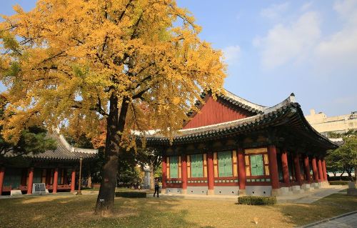 대구 당일치기 여행 가볼 만한 곳