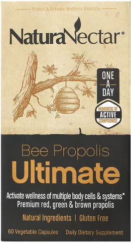 프로폴리스 효능 및 복용법 / 프로폴리스 추천 상품 (면역력 강화 부터 항염증까지)