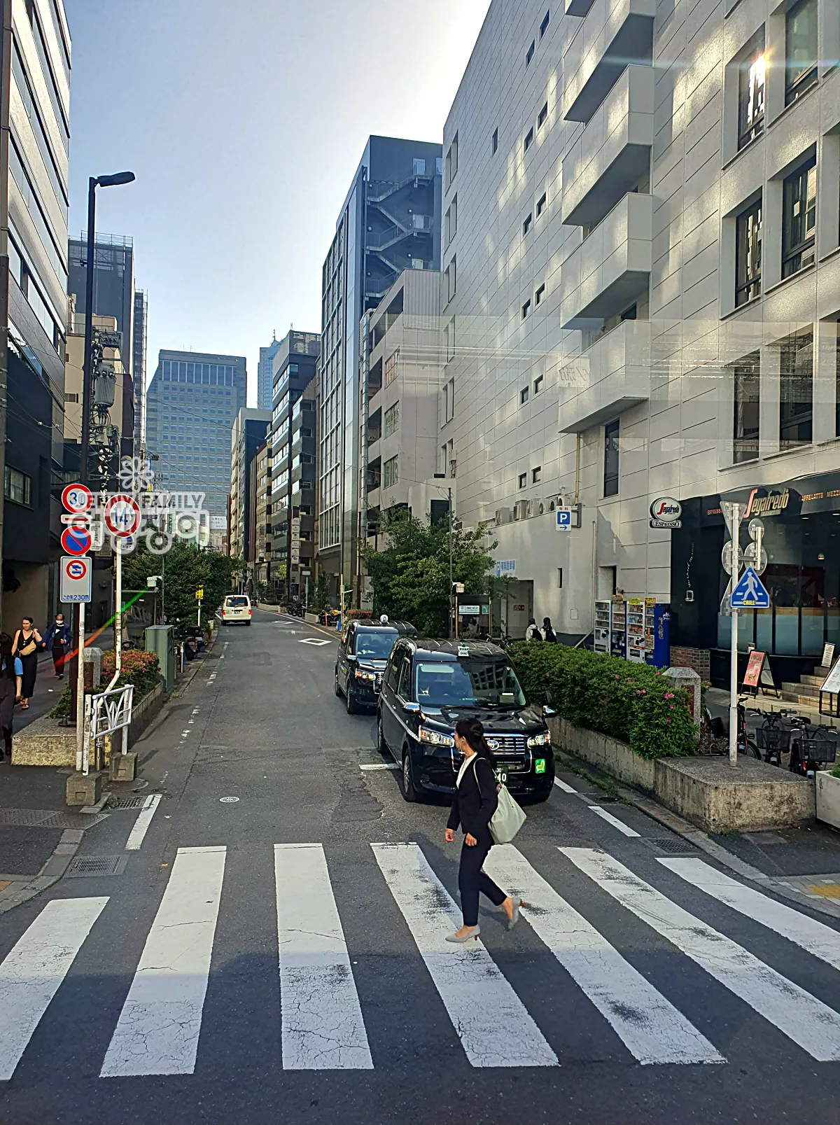 도쿄 조용한 골목길과 횡단보도 풍경 – Quiet Backstreet and Pedestrian Crossing in Central Tokyo