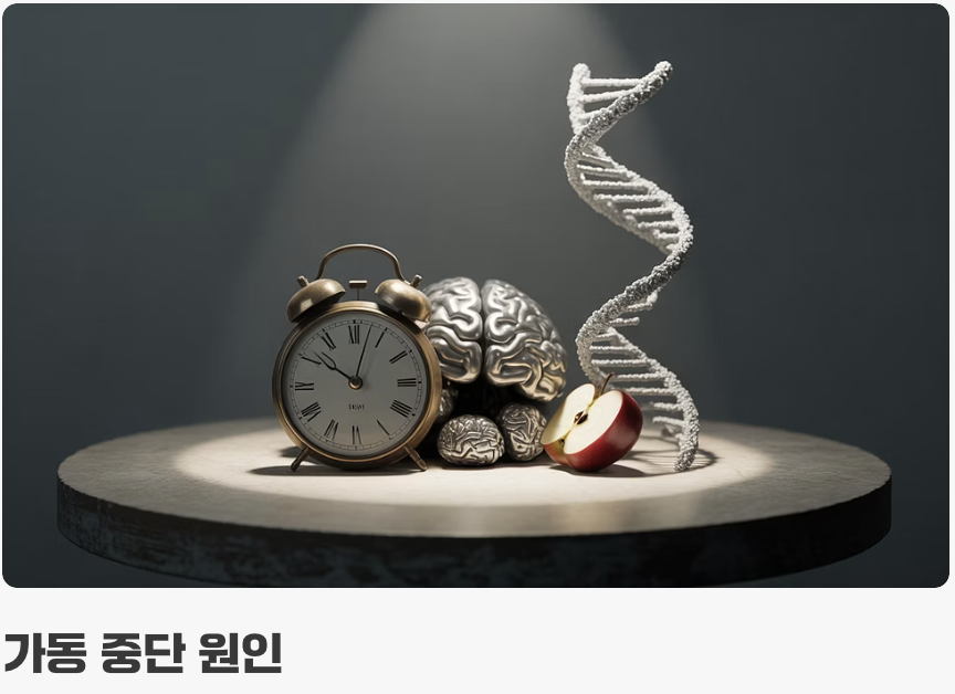 내 머리카락은 왜 하얘질까?