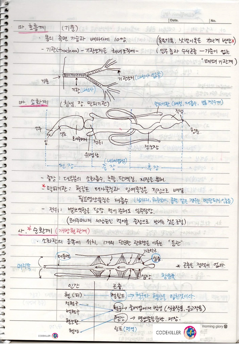 곤충의 내부형태 - 호흡계, 소화계, 순환계