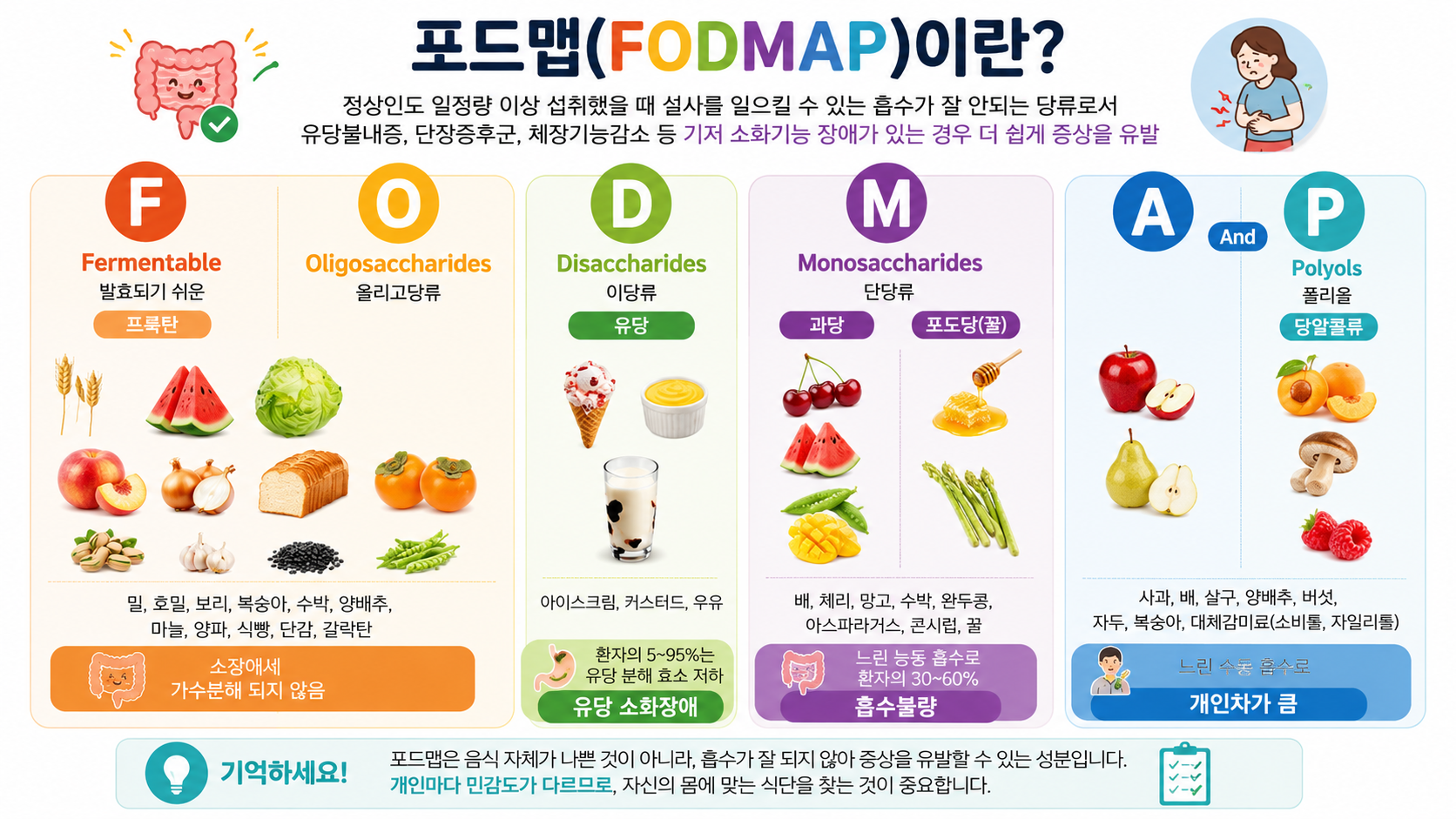 포드맵에 대한 설명